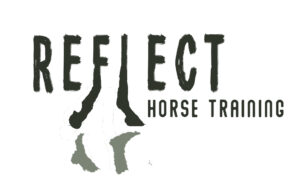 Reflect Horse Training | Design De Loesmakerij